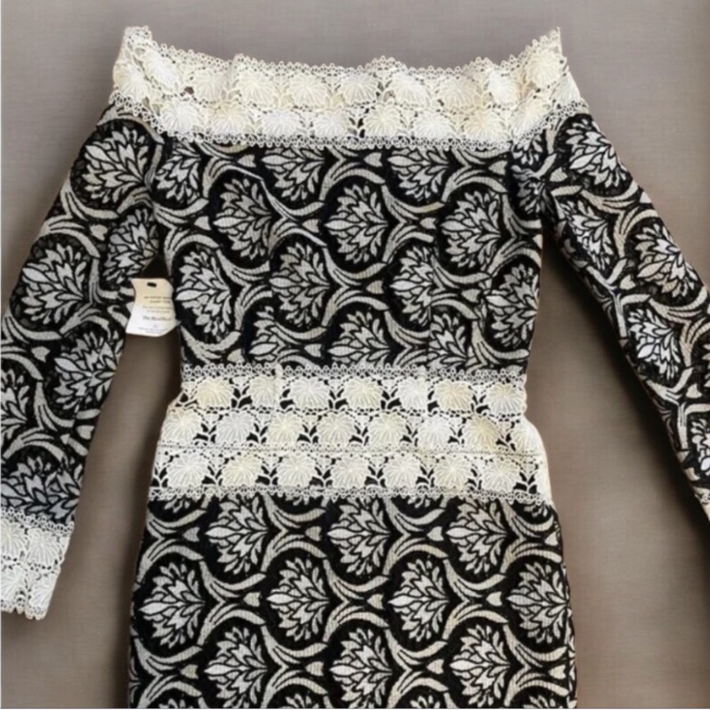 SEXY, Unique & Rare! Long Sleeve GORGEOUS Luxury Black & White Lace Dress Sz 4✨
